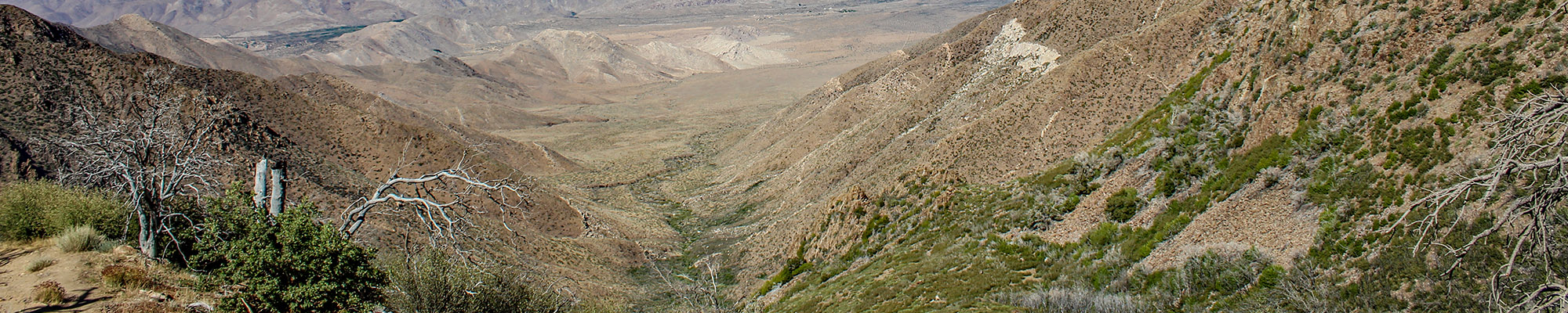 back country in San Diego, Laguna Mountain